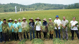 Pemerintah Malaysia Belajar Pertanian ke Kabupaten Serang 