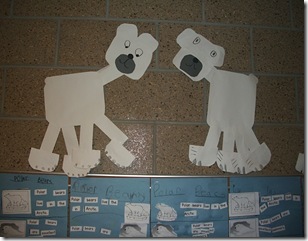 polar bears