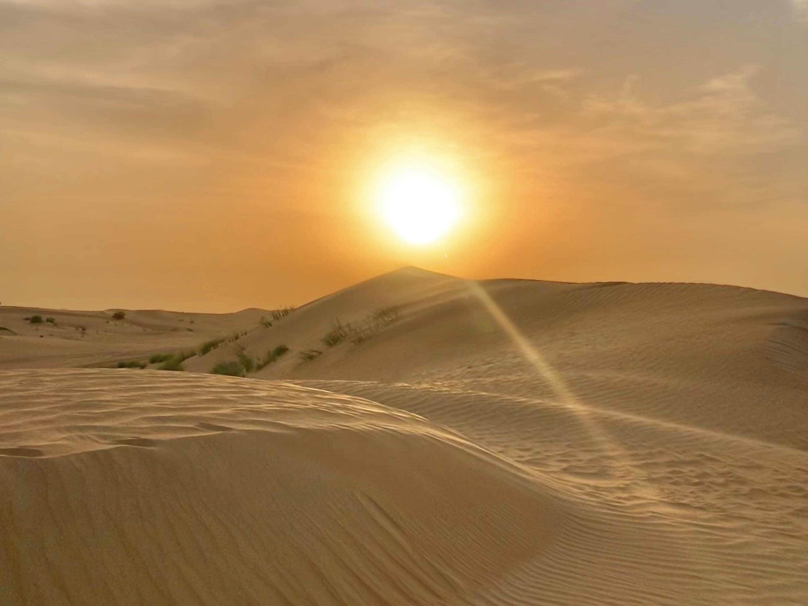 Pengalaman desert safari Dubai