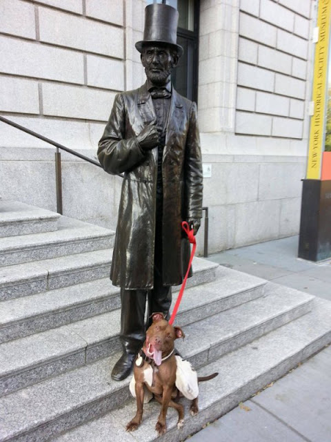 Abraham Lincoln sujetame al perro