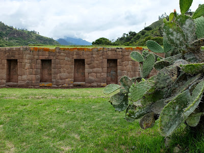 Opuntia ficus-indica at Tarawasi