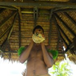 View album