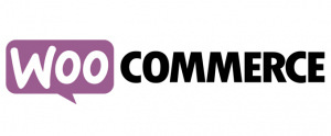 Woocommerce review, ecommerce platform