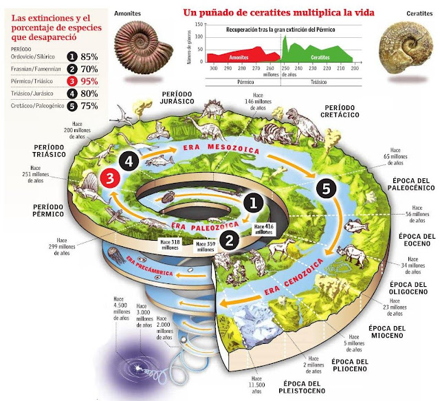 https://blogger.googleusercontent.com/img/b/R29vZ2xl/AVvXsEgfrY-Nc61dS3BBlhcc1VGkXqOgMo-8xmRsLi4lixLWLVROCRJ5j19HB-U0o-m-mOMlTeya-iMAt0fJnKzbTSEWfEtSTfR5gYuXE85zExEW_IZVDvoXkNSCtfHkHiid_IyfOJHUxb_KpFQ/s1600/la+tierra+lleva+5+extinciones+-+mertcurio+5+abril+2010+-+DETALLE+MONITO.jpg