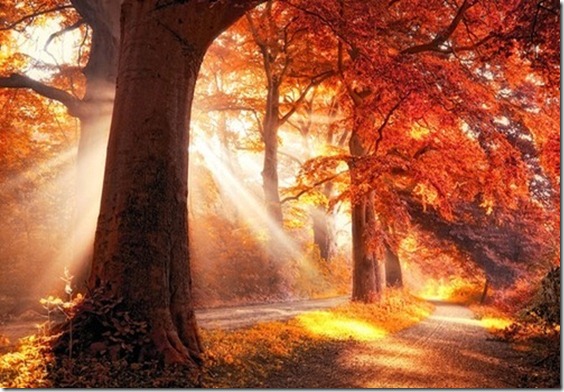 2Photosoffall_thumb1_large