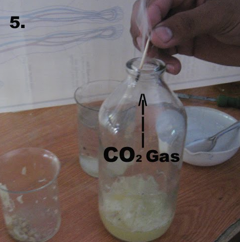 Benefits and Uses of Carbon Dioxide Gas