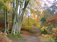 Winkworth Arboretum