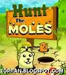 hunt the moles java games