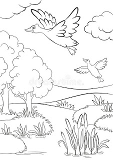 Forest Duck Coloring Pages