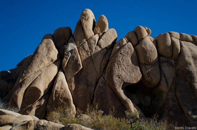 Joshua Tree Morning (46 of 54)