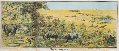 Tableau Vidal-Lablache, détail :  Les Régions Tropicales, éditions Armand Colin, vers 1900 (collection musée)