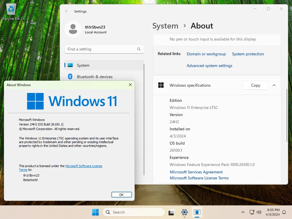 Download Windows 11 24H2 LTSC