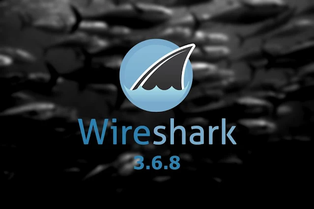 Wireshark 3.6.8 Çıktı – Yenilikler Neler?