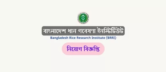 ৫২ পদে বাংলাদেশ ধান গবেষণা ইনস্টিটিউট নিয়োগ বিজ্ঞপ্তি | BRRI Job Circular 2022