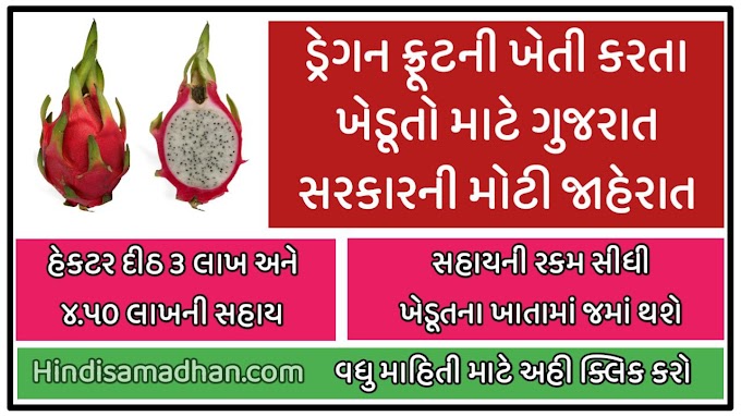 Dragon Fruit : Gujarat government makes big announcement for farmers
