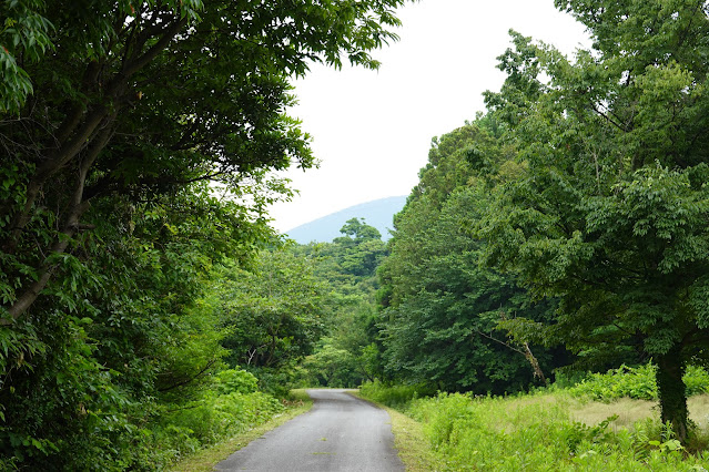 鳥取県西伯郡大山町妻木 鳥取県立むきばんだ史跡公園