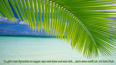 liebesbilder, hd, kostenlos, bild, liebe