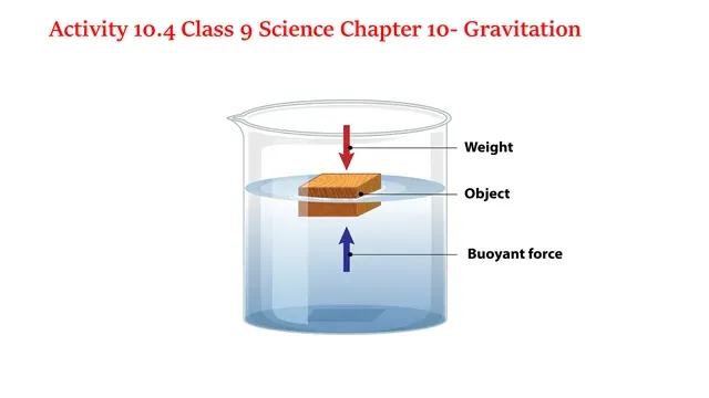 Activity 10.4 Class 9 Science Chapter 10 Gravitation