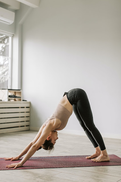 Downward Dog – A Pose for All Seasons: