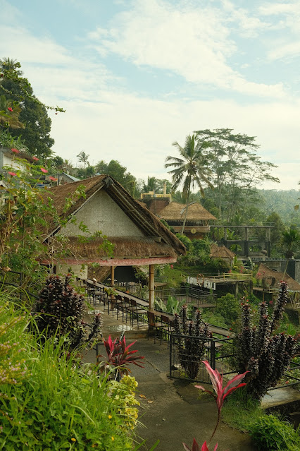 Tegalalang Rice Terraces