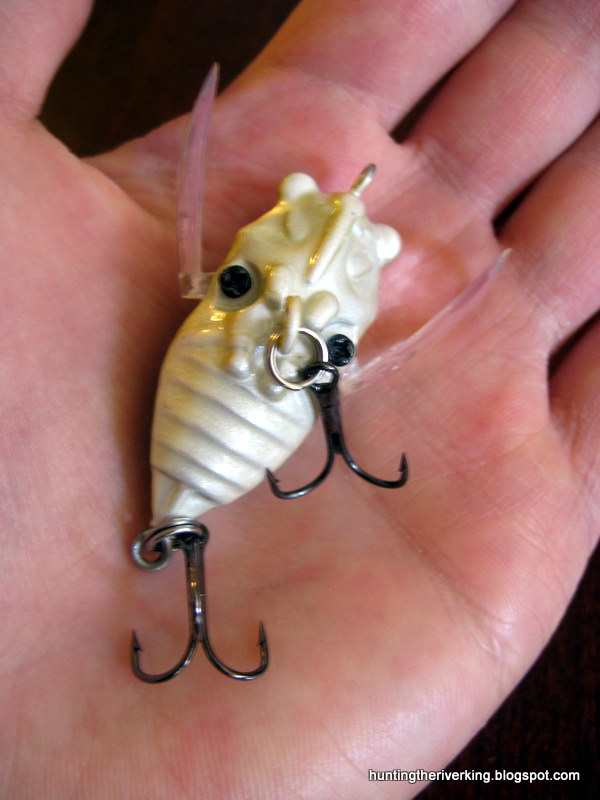 Hunting the River King: Topwater Cicada Lure Reviews: Megabass Grand Siglett,  wLure T4, Jet Tackle Crazy Bug