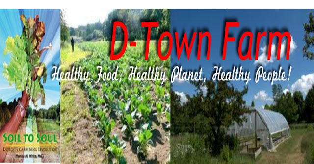  http://www.d-townfarm.com/