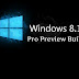 Download Windows 8.1 Pro Priview