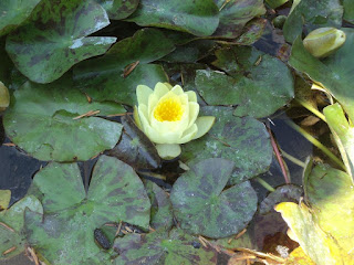 Balchik Botanical Garden photos