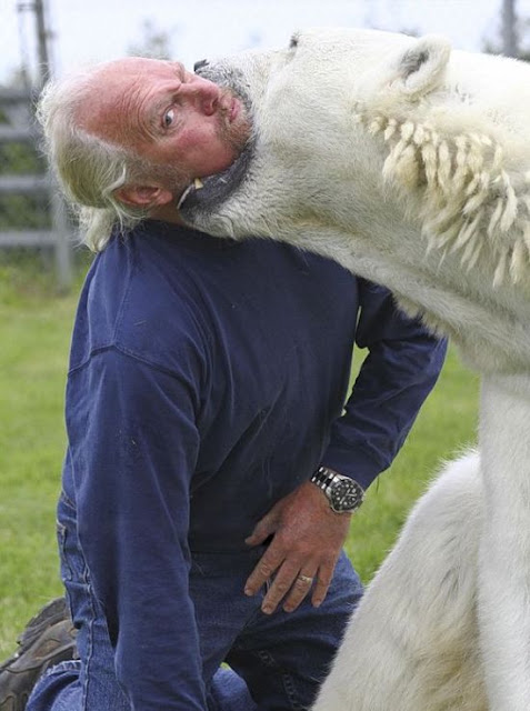 Man and a Polar Bear