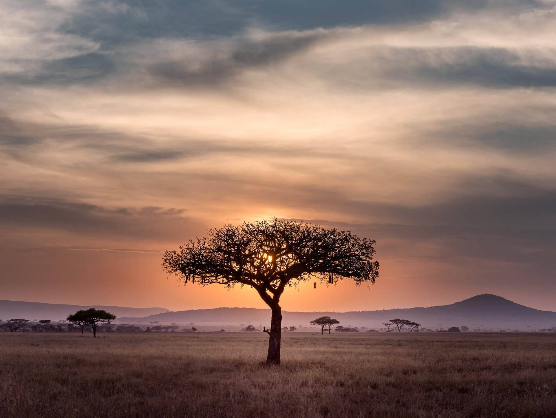 Parque Nacional de Serengeti | Tanzânia