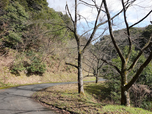 緑水湖湖畔　道路