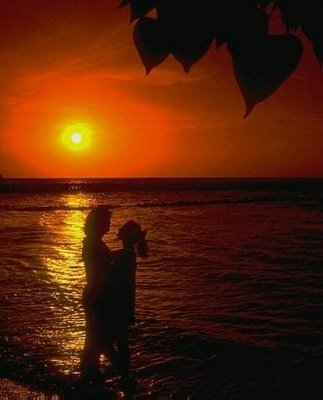 wallpapers de amor. Imagenes De Amor