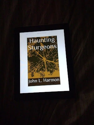 A photo of the ebook version of haunting sturgeons