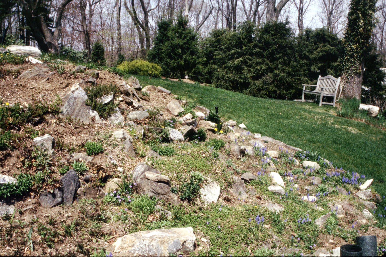 Rock Garden