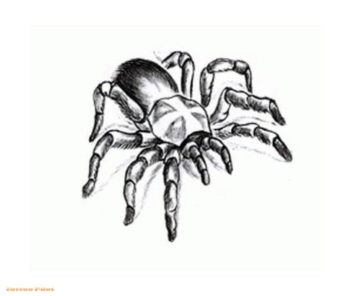 Spider tribal tattoo Design 4