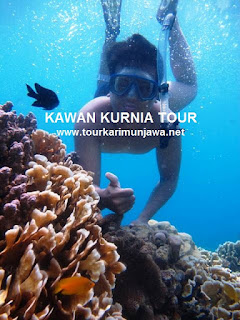 Karimunjawa tahun baru