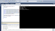 Input Biodata Sederhana C++