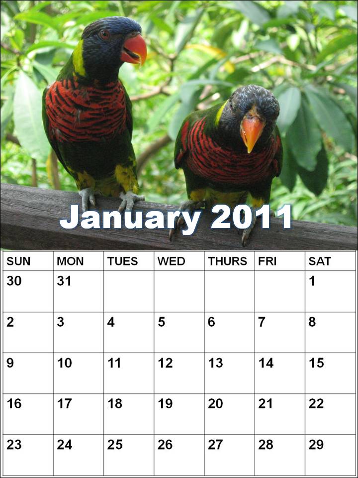 calendar january 2011. blank january 2010 calendar.