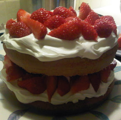 Sponge cake with a layer of sponge, whipped cream and fresh strawberries