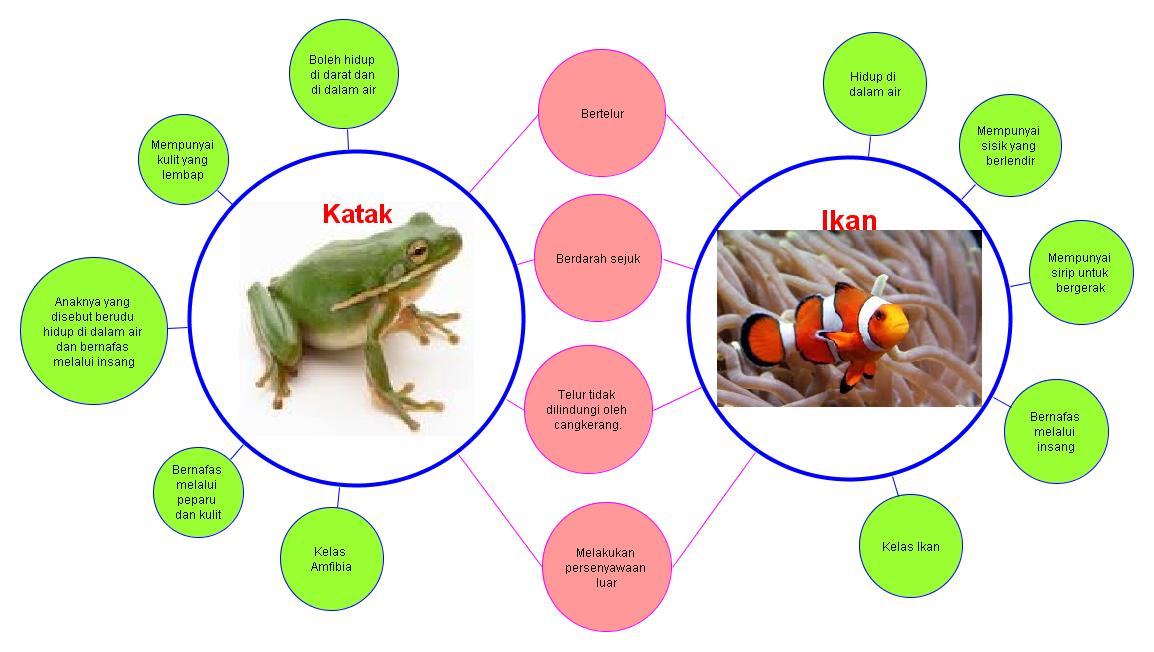 EDU 3109 i Thing Matapelajaran Sains