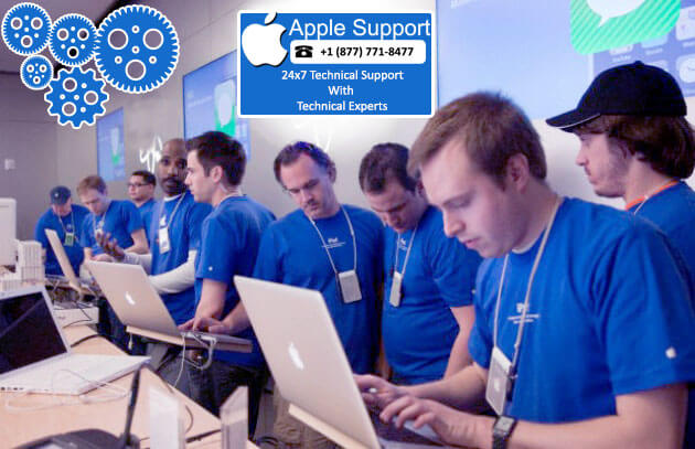 apple support number, apple support phone number, apple technical support, apple technical support number, apple technical support phone number, apple customer support, apple customer support number, apple customer support phone number, apple customer service, apple customer service number, apple customer service phone number, apple tech support, apple tech support number, apple tech support phone number, apple phone number, apple help number, apple help phone number, apple contact number, apple support contact number, contact apple phone number, contact apple support phone number, apple phone support, apple support phone, apple support number usa, apple support phone number usa, apple support iphone, call apple support