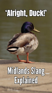 Why Do People Say "Duck" as a Greeting? ‘Alright, Duck!’ - Midlands Slang Explained