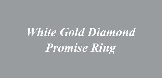 White Gold Diamond Promise Ring 