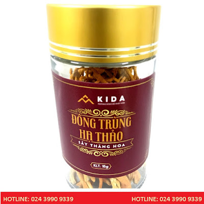 Đông Trùng Hạ Thảo Sấy Thăng Hoa KIDA 15g - hotline 024 3990 9339