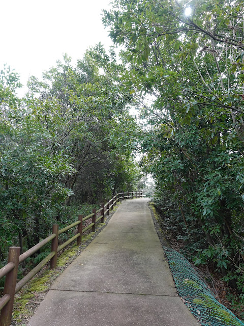 むきばんだ史跡公園　首長の墓から木の実の森へ向かいます