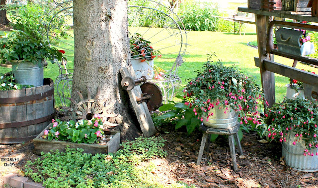 Photo of under spruce tree annuals, perennials and junk.