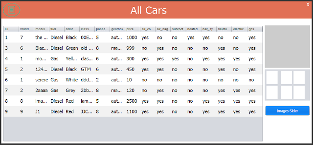 Java Car Rental System Cars List Form 1