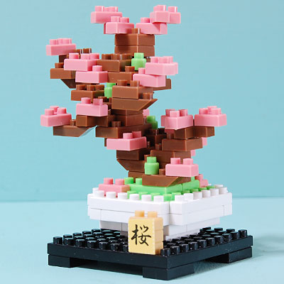 プチブロックの盆栽/桜