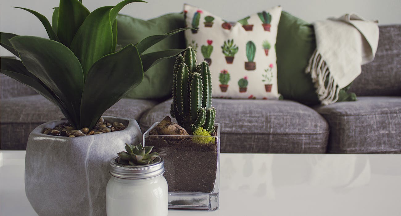 Green Elegance Incorporating Plants into Your Home Decor