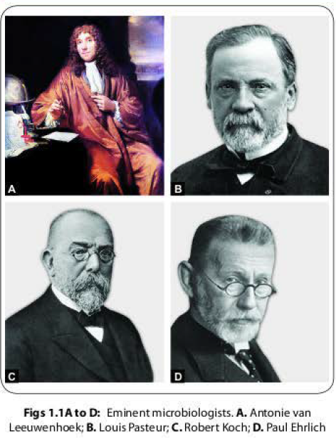 Microbiology History-Antonie Philips van Leeuwenhoek-Louis Pasteur-Robert Koch-Paul Ehrlich